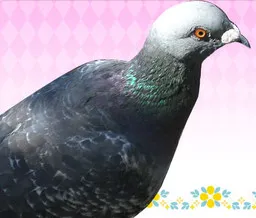 Kawara Ryouta