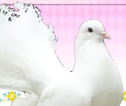 Sakuya Le Bel Shirogane