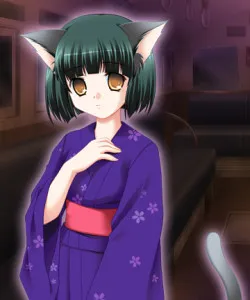Kiku