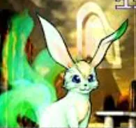 Navi