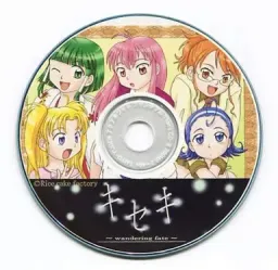 Kiseki ~wandering fate~