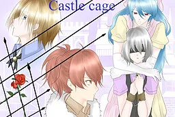 Castle cage