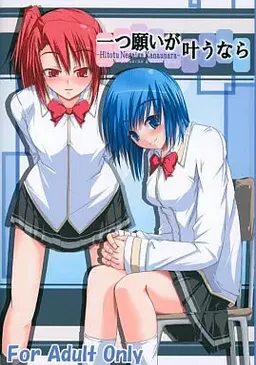Hitotu Negai ga Kanaunara