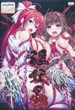 In'youchuu Goku - Kuon no Hime Miko - Tokubetsu Hen