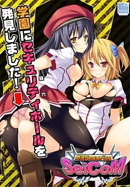 Saiin Security Seicom