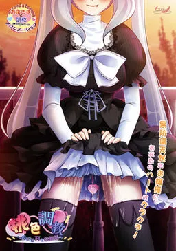 Momoiro Choukyou ~Mezase H na Ojou-sama~