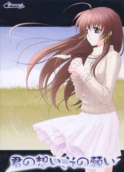Kimi no Omoi, Sono Negai