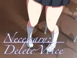 Necessary:Delete Voice