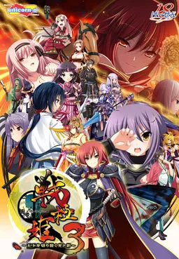 Sengoku Hime 3 ~Tenka o Kirisaku Hikari to Kage~
