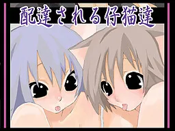 Haitatsu Sareru Koneko-tachi