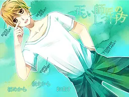 Tadashii Shishou no Shitsukekata