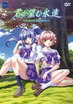 Kimi ga Nozomu Eien
