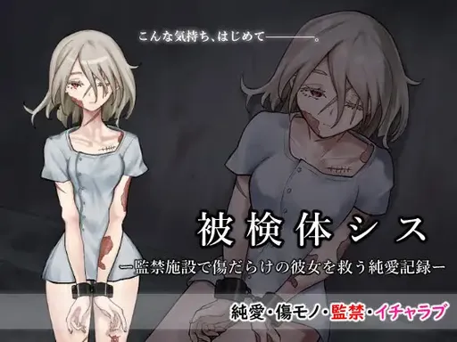 Hikentai Sis -Kankin Shisetsu de Kizu Darake no Kanojo o Sukuu Jun'ai Kiroku-