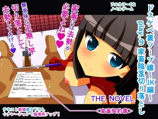 Dosukebe Ura Soap-jou ~JK Hen~ play.9 Kachiku Inkei Kiriotoshi THE NOVEL