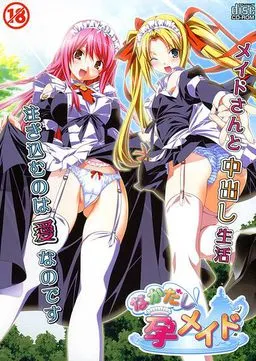 Nakadashi Hara Maid
