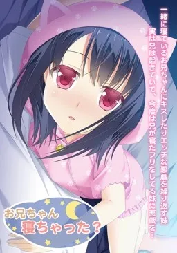 Onii-chan Nechatta?