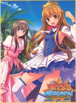 Hime-sama, Ote Yawaraka ni!