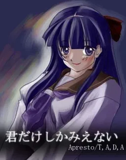 Kimi dake Shika Mienai