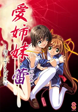 Ai Shimai Tsubomi... Kegashite Kudasai