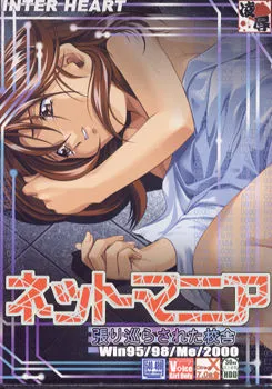 Net Mania ~Harimegurasareta Kousha~