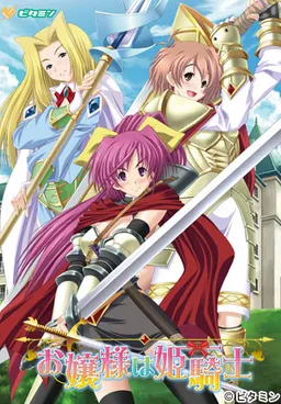 Ojou-sama wa Himekishi