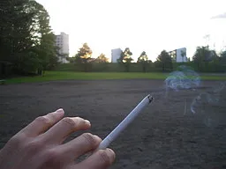 Parliament ~Koukinaru Mono to no Nichijou~