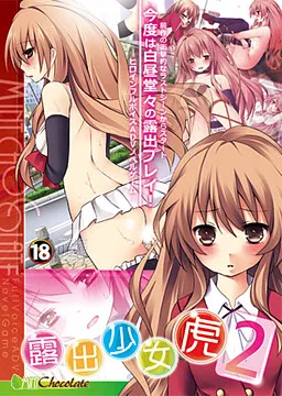 Roshutsu Shoujo Tora 2