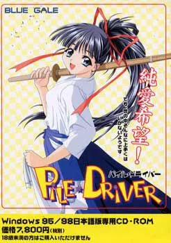 Pile Driver