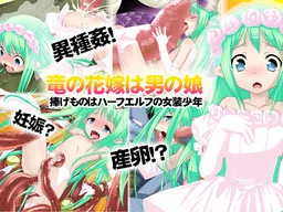 Ryuu no Hanayome wa Otoko no Ko