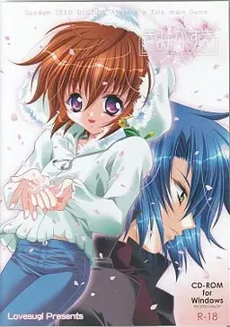 Kimi ga Suki