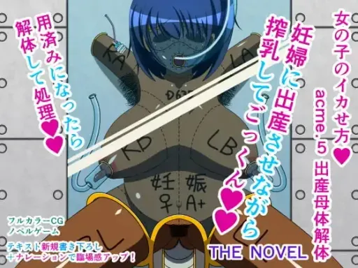 Onna no Ko no Ikasekata acme.5 Shussan Botai Kaitai THE NOVEL
