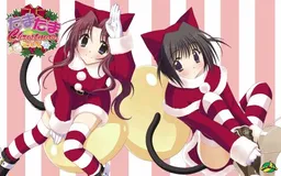 Tama Tama Christmas Box