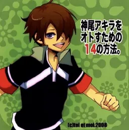 Kamio Akira o Otosu Tame no 14 no Hoho.