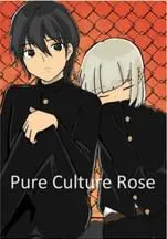 Pure Culture Rose