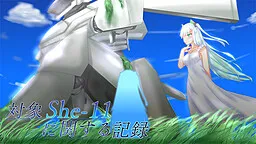 Taishou She-11 ni Kansuru Kiroku