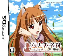 Spice and Wolf: My Year with Holo