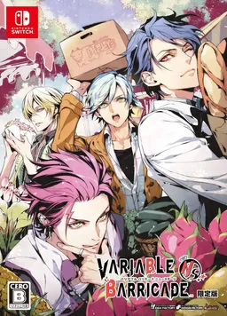 Variable Barricade