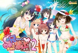 Onii-chan, Migite no Shiyou o Kinshi Shimasu! 2