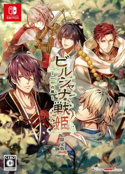 Birushana: Winds of Fate