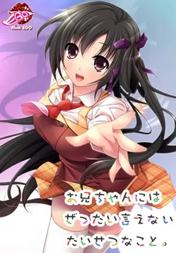Onii-chan ni wa Zettai Ienai Taisetsu na Koto.