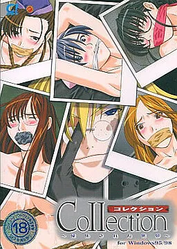 Collection ~Shuushuu Sareta Akumu~