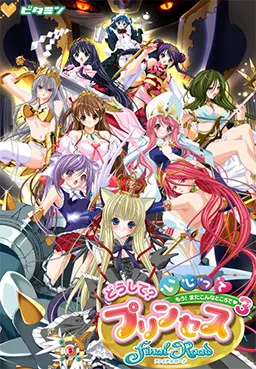 Doushite? Ijitte Princess Final Road ~Mou! Mata Konna Tokoro de 3~