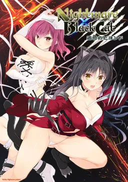 Nightmare x BlackCat ~Tsuioku no Beyond~