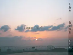 Sunset Flight