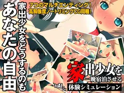 Mousou Taiken ADV Game "Iede Shoujo o Hitoban Shukuhaku Saseru Taiken Simulation"