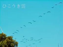 Hikoukigumo