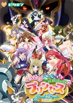 Doushite? Ijitte Princess Final Road ~Mou! Mata Konna Tokoro de 3~