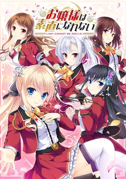 Ojou-sama wa Sunao ni Narenai