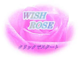 WISH ROSE