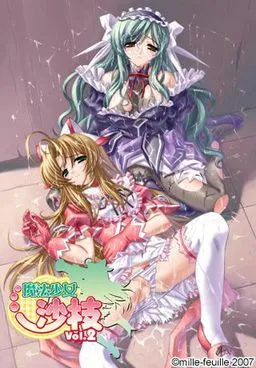 Mahou Shoujo Sae Vol.2